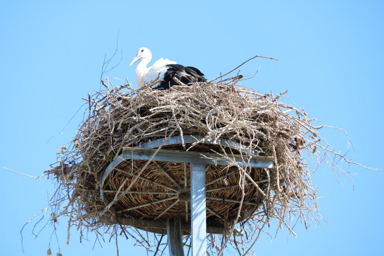 Radduscher Hafen 3*